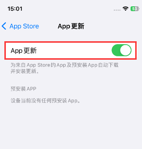 冀州苹果15维修中心如何让iPhone15APP自动更新