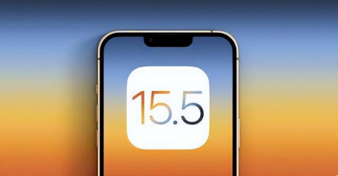 冀州苹果手机维修分享iOS15.5 RC版升级建议 