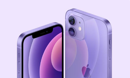 冀州苹果手机维修分享紫色版iPhone 12有什么技术亮点 