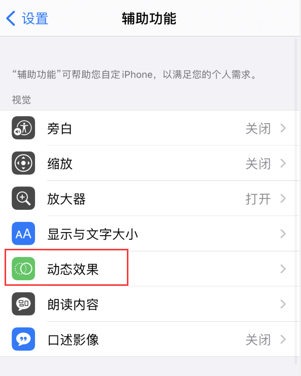 冀州苹果手机维修分享iPhone 12 退出应用时没有动画显示，如何设置 